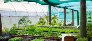 FHTA Sustainable Tourism: Leading the Agri-Tourism Charge