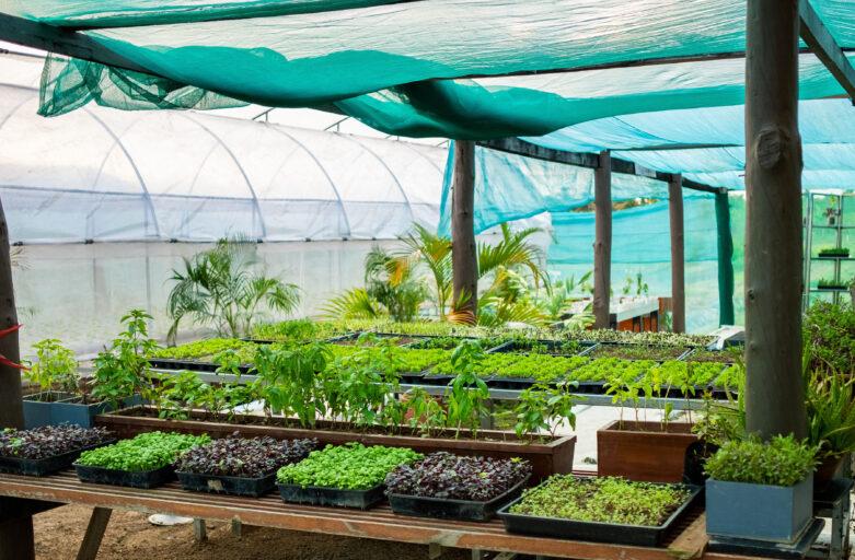 FHTA Sustainable Tourism: Leading the Agri-Tourism Charge