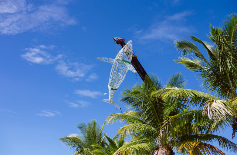 Marriott Resort Momi Bay celebrates World Environment Day