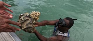 Marriott Momi Bay to Regenerate Giant Clam Sanctuary