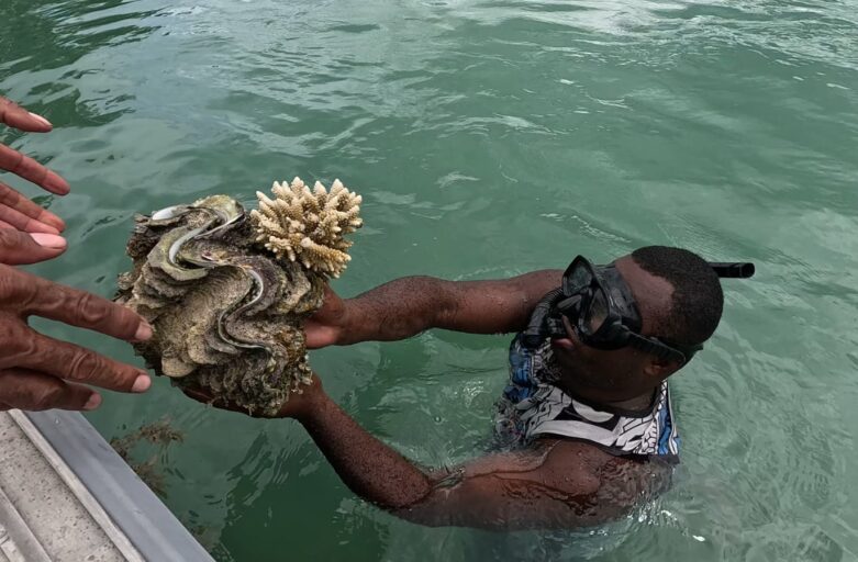 Marriott Momi Bay to Regenerate Giant Clam Sanctuary