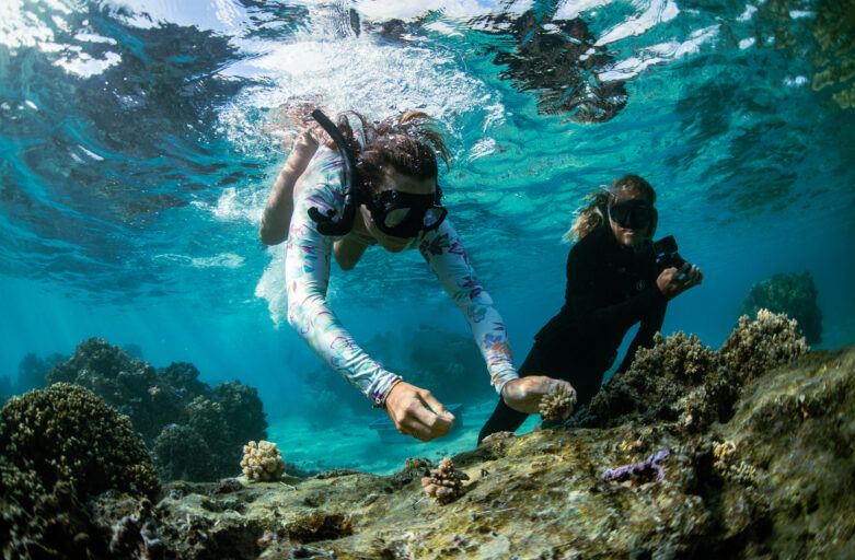 WSL Announces PURE Grant Program Recipients