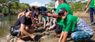 FHTA Tourism Talanoa: The Missing Framework – Why Mangrove Protection Stalls