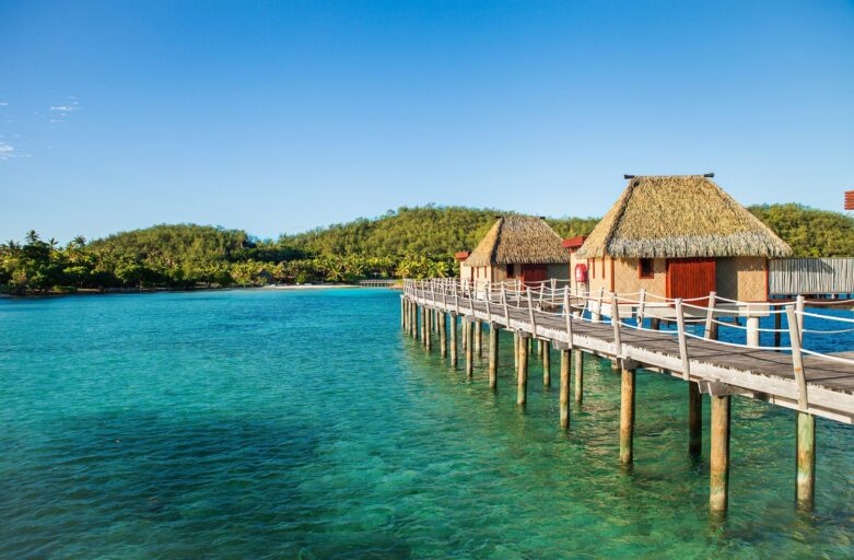 12 Reasons Why Palmex is a Smart Investment for Resorts
