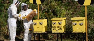 InterContinental Fiji marks World Bee Day with month-long programme