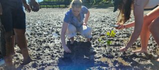 DoubleTree Resort Celebrates World Mangrove Day Through Community
